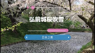 【日本之美原聲寬版】弘前城桜吹雪｜弘前城櫻吹雪 [upl. by Mattie6]