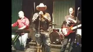 Luckenbach Texas cover sung by RJ Walker [upl. by Akkina812]