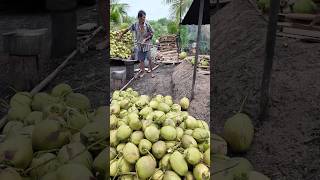 Amazing Roasted Coconut Cutting Skill in Thailand Fruits Cutting Skill [upl. by Shermie]