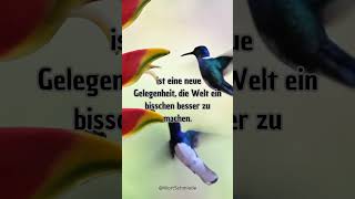 Spruch zum Nachdenken Zitate motivation weisheit sprüche leben motivational [upl. by Christine166]