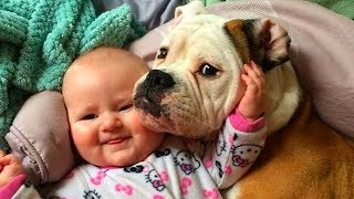 Dog Protecting Babies and Kids Compilation [upl. by Aztinad]