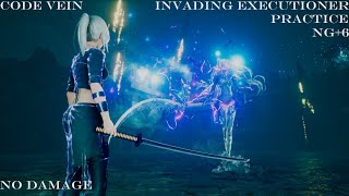 Code Vein  15 Invading Executioner No Damage  Practice Dark Mage Build NG6 [upl. by Enyar718]