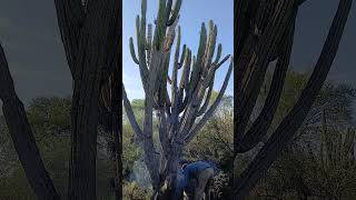 chatarra delcampoalaciudad recordandolavidadelcampo [upl. by Yetta]