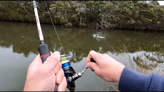 Fishing For Carp After Rain [upl. by Atteval]