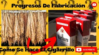 Como Se Hace El Cigarrillo  Resumido [upl. by Yeung233]