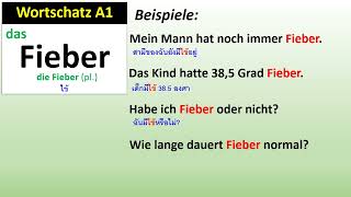 Wortschatz A1 Fieber [upl. by Araik]