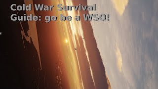 Become an F4 Phantom WSO  DCS World [upl. by Aneeras]