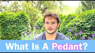 What is A Pedant Learn Daily Vocabulary [upl. by Ellynad269]