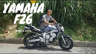 Yamaha FZ6 Como a rata [upl. by Tadd]