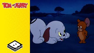 Jerrys New Friend  Tom amp Jerry  BoomerangUK  Cartoons for Kids [upl. by Conchita]