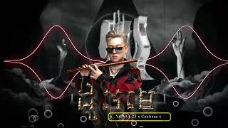 ដូចមេ LIKE A BOSS 2024 ARS Remix MESA ft VANNDA 😎 [upl. by Eralcyram]