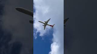 Qantas Link E190 departing RAAF WilliamtownNewcastle Airport [upl. by Rj]