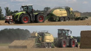 CLAAS XERION 4200 mit KRONE BiGPACK 1290 amp BaleCollect am Quaderballenpressen  SOUND  4K [upl. by Petronella443]