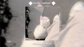 loyalty nasheedvocals only  MuhammadAlMuqit [upl. by Nivram979]