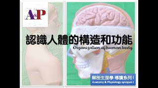 解剖學和生理學摘要 I Ep 1 人體的構造與功能 AampP synopsis I Organization of human body [upl. by Gregson]