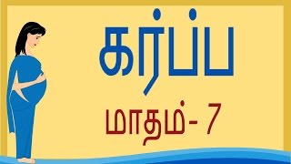 Pregnancy  Tamil  Month 7  கர்ப்பம் மாதம் 7  Week 25 to Week 28 [upl. by Adnolrehs]