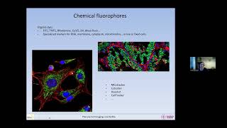 20240130 Fluorescence and fluorophores [upl. by Alhahs]