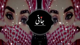 Kizlar Kizlar Turkish Famous Song  Remix Song  Slowed  Reverb Song [upl. by Eddana]