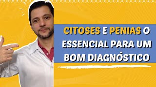 Citoses e penias em cães e gatos o que significam [upl. by Anema]