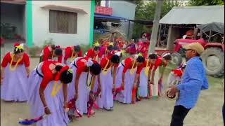 Best Tharu Cultural Video  New Tharu Sakhiya Nach  Tharu Video  village cultural video [upl. by Anyah]