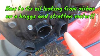 HOW TO Fix Your Briggs And Stratton Motor From Leaking Oil From Air box DIY STYLE [upl. by Gombach13]