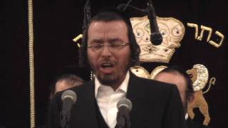 Cantorial Concert Yaakov Yosef Stark amp Choir Singing quotAv Harochamimquot 2of2 Watch in HD  12 [upl. by Ecirted]