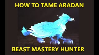 How To Tame Aradan BM Hunter [upl. by Ert]