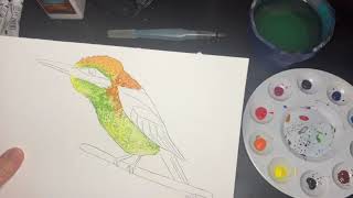 Green BeeEater Bird Watercolor Painting [upl. by Meurer]