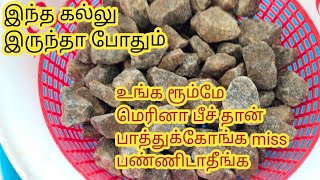 summer room cooling tips in tamil  AC இல்லாமலே உங்க ரூம் குளுக்குளுன்னு இருக்க நச்சுனு டிப்ஸ் [upl. by Nylrats]