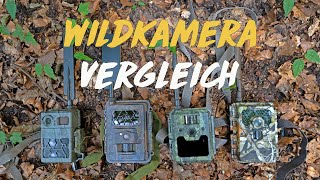 Wildkamera Vergleich  Seissiger Secacam ICUserver und Minox [upl. by Granny]