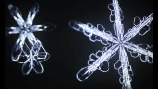 Sixsided snowflakes bloom in slow motion [upl. by Trescott]