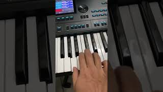 Samples de temerarios teclado Medeli AKX10 [upl. by Nele545]