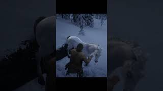 EL MEJOR CABALLO DE RED DEAD REDEMPTION 2 [upl. by Iccir]