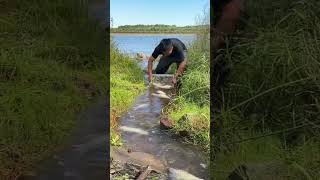 Shocking Fishing Hack Man Nets Massive Catch Without Lifting a Finger FishingHack AmazingFishing [upl. by Landy253]