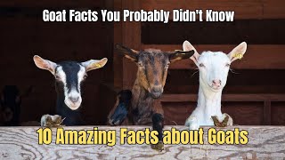 🐐10 Fascinating Goat Facts You Probably Didnt Know 💥 🐏 Facts about Goats [upl. by Odlaner49]