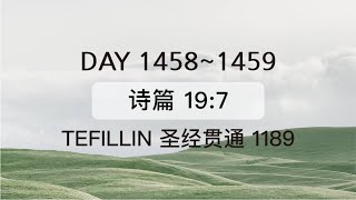 Tefillin Day 14581459 诗篇 197 宣布圣经 50次 [upl. by Benedicta]