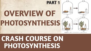 PhotosynthesisClass 11NCERTPart 1OverviewCrash CourseNEETAIIMSBy Beats For Biology [upl. by Araccot]