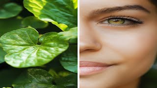 AntiAging Powerhouse Gotu Kola for Radiant Skin and a Sharp Mind [upl. by Dedra]