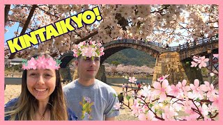 Cherry Blossom festival at the Kintai Bridge  Kintaikyo Sakura  Japan vlogs [upl. by Aeneus185]