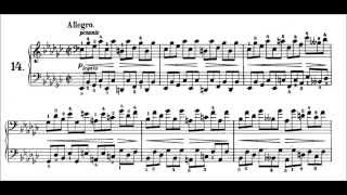 Chopin Prelude Op28 No14 in E flat Minor Allegro Pogorelich [upl. by Grae143]