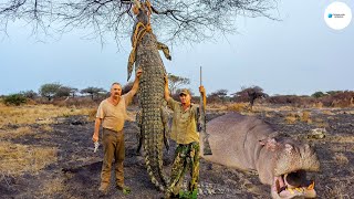 Así Cazan Los Cazadores Cocodrilos E Hipopótamos En Sudáfrica  Agricultura [upl. by Znerol]