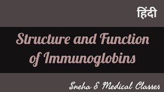 Structure and Function of Immunoglobulin [upl. by Ney]