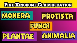 The Five Kingdoms A Complete Overview [upl. by Atinar]