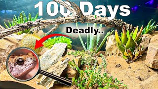 150 Gallon Desert ecosystem Simulation  With Natural Disasters [upl. by Winfrid]