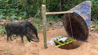 Build Unique Primitive Wild boar Trapping Tool Using Big Wood Fall in to Deep Hole animals [upl. by Lseil]