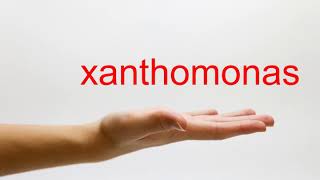 How to Pronounce xanthomonas  American English [upl. by Dnomhcir963]