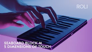 Seaboard BLOCK M Discover 5 Dimensions of Touch Anywhere [upl. by Cook]