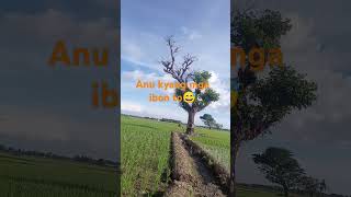 Muni Muni muna tau [upl. by Uah]