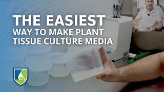 This is the easiest way to make plant tissue culture media [upl. by Lemmueu]