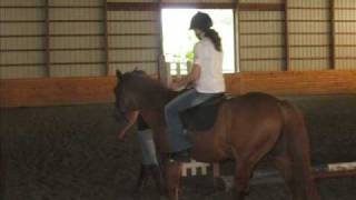 My First Horseback Riding Lesson [upl. by Deron75]